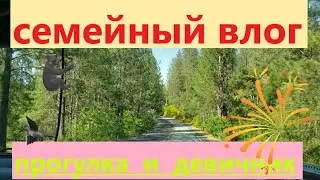 В этом влоге мы вам покажем  как  чувствуют себя наши пчелы.