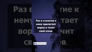Старая притча о вечности