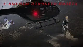 Sons of the forest #1 | С высоты птичьего полёта