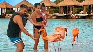 ARUBA - Cet endroit est incroyable...