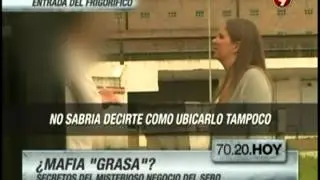 La mafia "grasa"