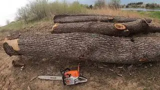 TIP ON HOW TO CUT OFF SUSPENDED LOGS OR LIMBS. HELPS ELIMINATE THE WOOD FROM SPLITTING.