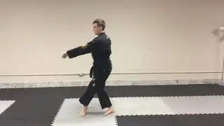 Naihanchi Shodan (Nick Cerio's Kenpo Karate)