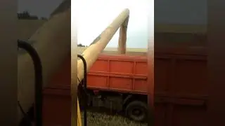 Работа в деревне на уборке урожая