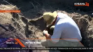 Под Темрюком поисковики нашли могилу с останками жертв нацистов