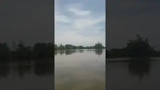 Mancing di danau besar seru nya || Shorts video mancing di danau besar