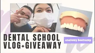 Back to school vlog + Anatomy Bootcamp GIVEAWAY // LauraSmiles