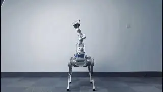 What X20 Robot Dog Can Do With its Robotic Arm?