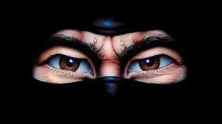LastNinja1 In game tracks - enhanced and mixed