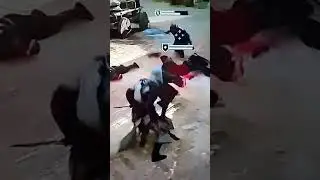 Как вам новый Assassin's creed Mirage? На какую часть похожа?Origins? или Odyssey? 🔥🔥🔥