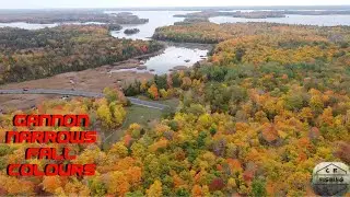 Gannon narrows fall colours