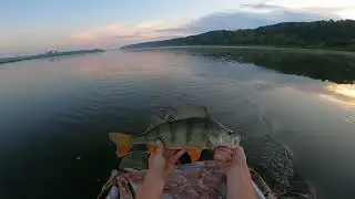 Оторвался по крупному окуню!!! Отличный день на рыбалке!