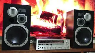 TELEFUNKEN TR500 & Pioneer 510, Demo for sale - 7