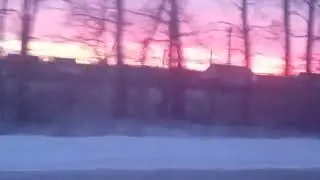 28 февраля 2024 г.