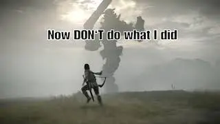Funny Shadow of the Colossus moments