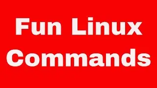 Kali Linux Quick Start Guide - Fun Linux Commands