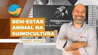 Gaiola mais espaçosa para matrizes suínas que já pariram é tendência em bem-estar animal