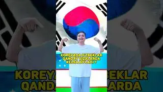 🇰🇷Koreyaga qanday Vizalarda kelsangiz bo'ladi ?
