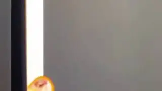 Новая игра Симбочки младшего 😺