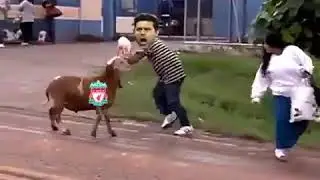 LIVERPOOL VS POCHETTINO