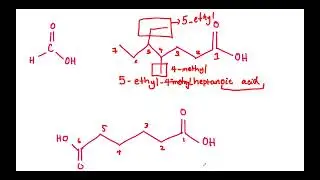 Carboxylic Acids and Esters