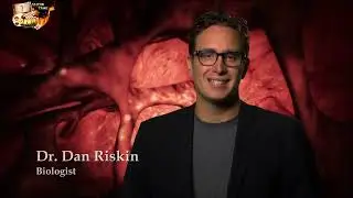 Монстры внутри меня  Что то в горле  Кто то пожирает кожу моих рук  Стремительное нарастание слабост