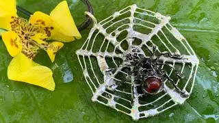 Bead & Wire Soft Solder Spider