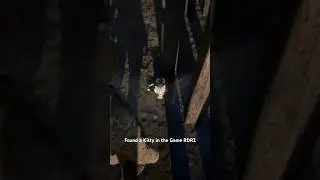 #kitty #cat #game #kitten #fyp #fy #reddeadredemption2 #games #cats #animals #foryou #viral #animal