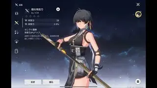 UIを見る Wuthering Waves
