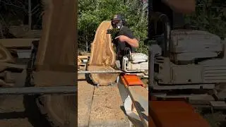 The Rich Brown Color and Swirly Grains are Mesmerizing! Chainsaw Milled Siberian Elm!
