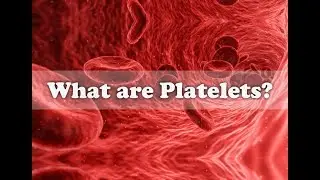 Human Body | What are Platelets? and How they work?