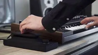 Touché & DSI Pro 2 : Washy Strings
