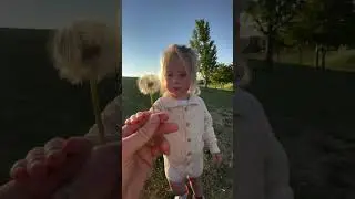 Little Girl Tries to Blow on Dandelions - 1534082
