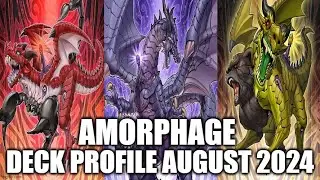 AMORPHAGE DECK PROFILE (AUGUST 2024) YUGIOH!