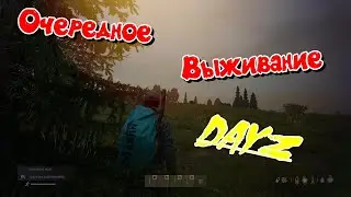 DaYz