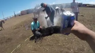 Snowy Owl Ranch Branding (clip 2-4)