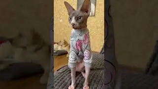 Дени подбирает новый образ для Мэни 🎽