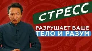Стресс и медитация // 