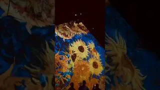 VAN GOGH EXPERIENCE 2                        #arte #artista #vangogh #art #artist #historiadaarte