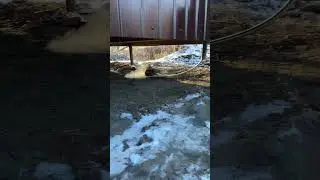 Вебаста выхлопные газы из дома через канализацию