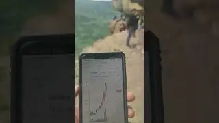 Как заработать на  Орлиной Полке Крипторг забрался так же высоко как UMA #крипторг #cryptorg #shorts