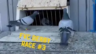 “The Perfect Cocktail”                                         Episode 7 FVC DERBY 250 MILE RACE