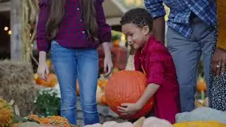 Explore Agri-Tourism in Bryson City at Darnell Farms