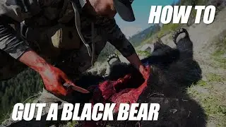 HOW TO FIELD DRESS A BLACK BEAR | THE FASTEST METHOD EXPLAINED SIMPLY