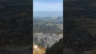 Одиночное велопутешествие Махачкала - Пятигорск. Часть 18. Море...