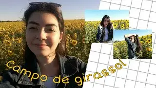 Vlog | campo de girassóis🌻 + bastidores das fotos do Instagram📸
