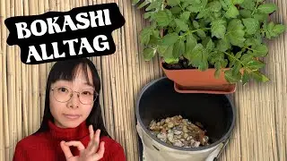 Bokashi-Dünger selbst herstellen | Biodünger | mein Ökosystem