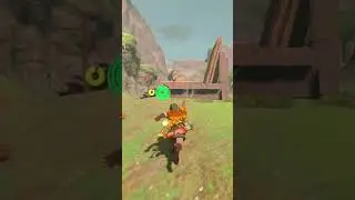 what is wrong with this npc?