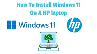 How to install Windows 11 on a HP laptop