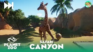 African Safari Canyon - Planet Zoo Speedbuild 1/2